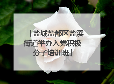 盐城盐都区盐渎街道举办入党积极分子培训班