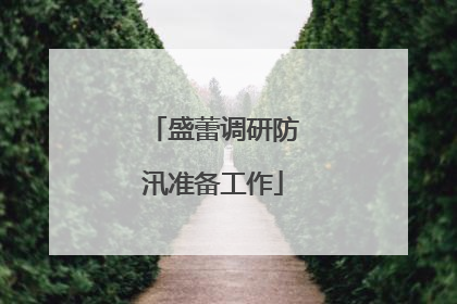 盛蕾调研防汛准备工作