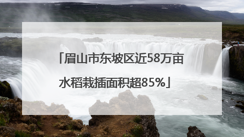 眉山市东坡区近58万亩水稻栽插面积超85%