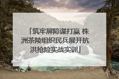 筑牢屏障谋打赢 株洲茶陵组织民兵展开抗洪抢险实战实训