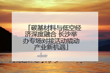 碳基材料与低空经济深度融合 长沙举办专场对接活动撬动产业新机遇