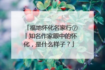 福地怀化名家行⑦丨知名作家眼中的怀化，是什么样子？
