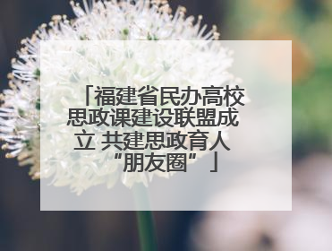 福建省民办高校思政课建设联盟成立 共建思政育人“朋友圈”