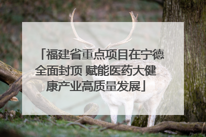 福建省重点项目在宁德全面封顶 赋能医药大健康产业高质量发展
