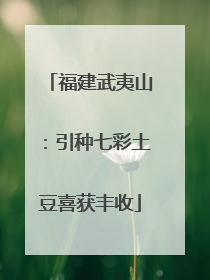 福建武夷山：引种七彩土豆喜获丰收