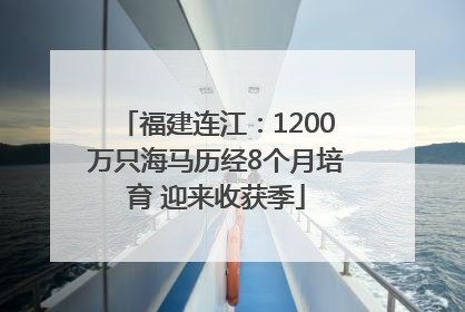 福建连江：1200万只海马历经8个月培育 迎来收获季