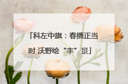科左中旗：春播正当时 沃野绘“丰”景