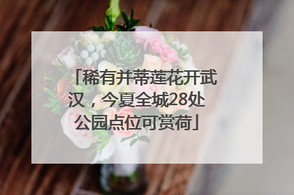 稀有并蒂莲花开武汉，今夏全城28处公园点位可赏荷