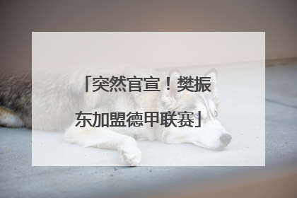 突然官宣！樊振东加盟德甲联赛