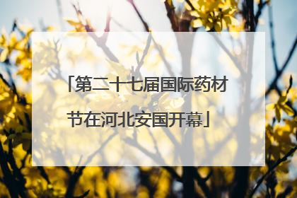 第二十七届国际药材节在河北安国开幕