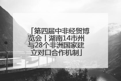 第四届中非经贸博览会丨湖南14市州与28个非洲国家建立对口合作机制