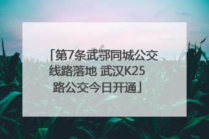 第7条武鄂同城公交线路落地 武汉K25路公交今日开通