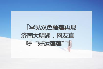 罕见双色睡莲再现济南大明湖，网友直呼“好运莲莲”