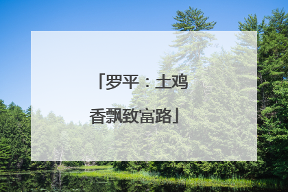 罗平：土鸡香飘致富路
