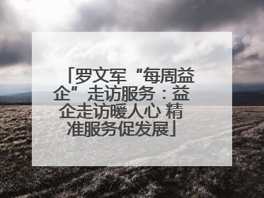 罗文军“每周益企”走访服务：益企走访暖人心 精准服务促发展
