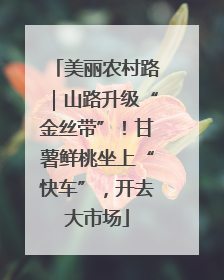 美丽农村路｜山路升级“金丝带”！甘薯鲜桃坐上“快车”，开去大市场