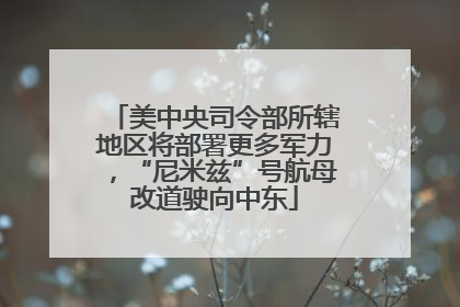 美中央司令部所辖地区将部署更多军力，“尼米兹”号航母改道驶向中东