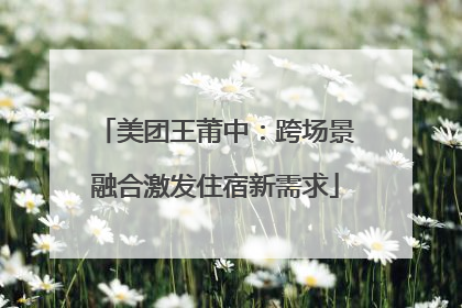 美团王莆中：跨场景融合激发住宿新需求