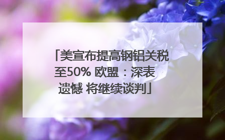 美宣布提高钢铝关税至50% 欧盟：深表遗憾 将继续谈判