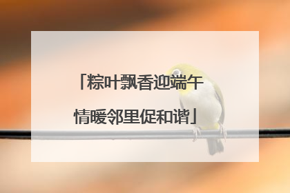 粽叶飘香迎端午 情暖邻里促和谐