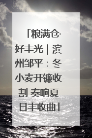 粮满仓·好丰光｜滨州邹平：冬小麦开镰收割 奏响夏日丰收曲