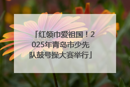 红领巾爱祖国！2025年青岛市少先队鼓号操大赛举行