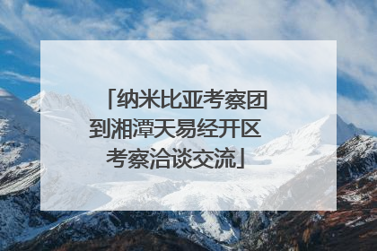 纳米比亚考察团到湘潭天易经开区考察洽谈交流