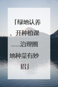绿地认养、开种植课……治理圈地种菜有妙招