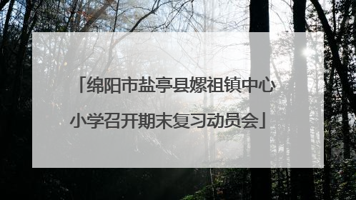 绵阳市盐亭县嫘祖镇中心小学召开期末复习动员会