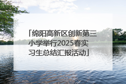 绵阳高新区创新第三小学举行2025春实习生总结汇报活动