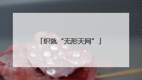 织就“无形天网”