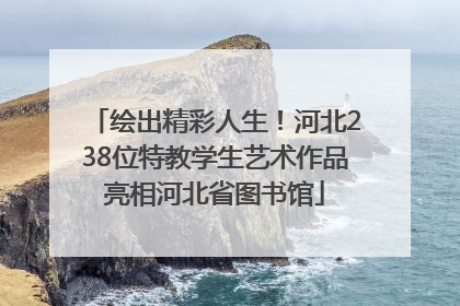 绘出精彩人生！河北238位特教学生艺术作品亮相河北省图书馆