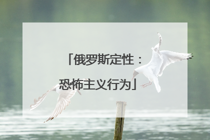 俄罗斯定性：恐怖主义行为