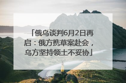 俄乌谈判6月2日再启：俄方携草案赴会，乌方坚持领土不妥协