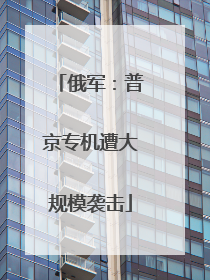 俄军：普京专机遭大规模袭击