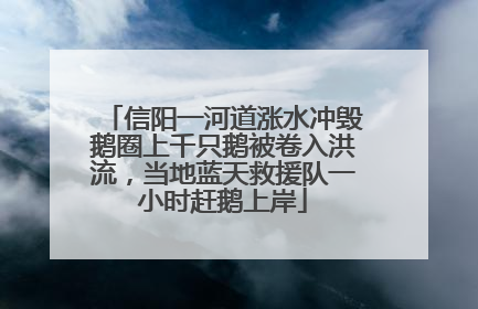 信阳一河道涨水冲毁鹅圈上千只鹅被卷入洪流，当地蓝天救援队一小时赶鹅上岸