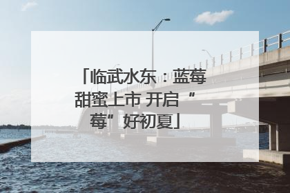 临武水东：蓝莓甜蜜上市 开启“莓”好初夏