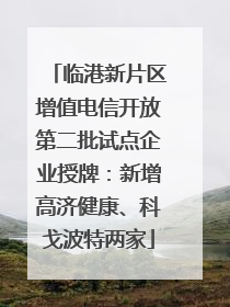 临港新片区增值电信开放第二批试点企业授牌：新增高济健康、科戈波特两家