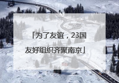为了友谊，23国友好组织齐聚南京
