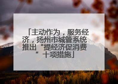 主动作为，服务经济，扬州市城管系统推出“提经济促消费”十项措施