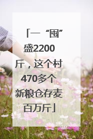 一“囤”盛2200斤，这个村470多个新粮仓存麦百万斤