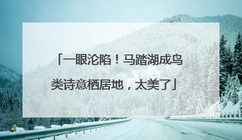 一眼沦陷！马踏湖成鸟类诗意栖居地，太美了
