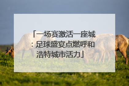 一场赛激活一座城：足球盛宴点燃呼和浩特城市活力