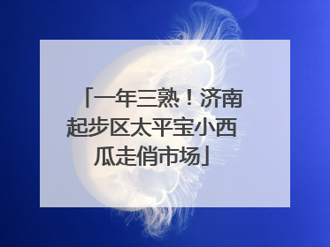 一年三熟！济南起步区太平宝小西瓜走俏市场
