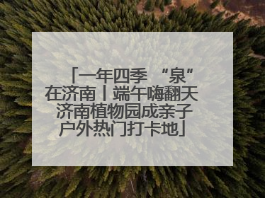 一年四季 “泉”在济南丨端午嗨翻天 济南植物园成亲子户外热门打卡地