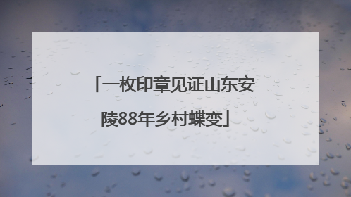 一枚印章见证山东安陵88年乡村蝶变