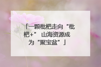 一颗枇杷走向“枇杷+” 山海资源成为“聚宝盆”