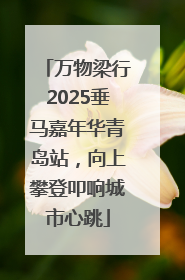 万物梁行2025垂马嘉年华青岛站，向上攀登叩响城市心跳