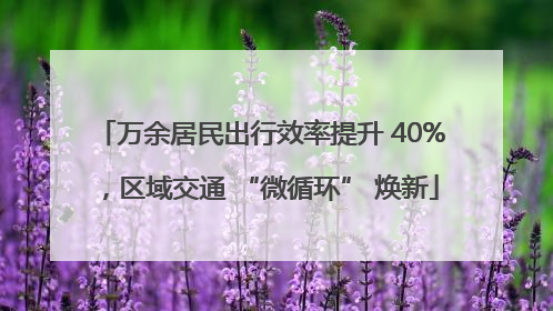 万余居民出行效率提升 40%，区域交通 “微循环” 焕新