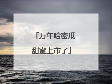 万年哈密瓜甜蜜上市了